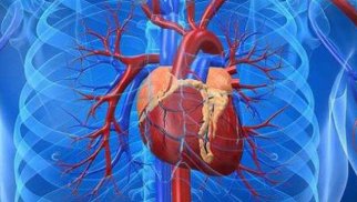 Ürək-damar sağlamlığının 7 faktoru
