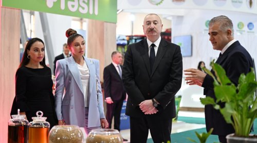 Prezident ailəsi ilə sərgidə - FOTOLAR