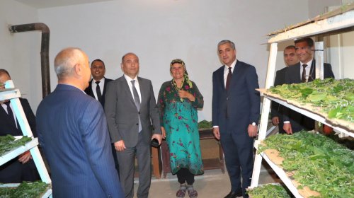 Ordubad rayonunda ipəkçilik inkişaf etdirilir