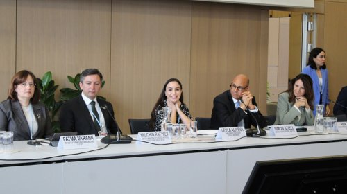 Leyla Əliyeva Almaniyada Xəzərin səviyyəsinin müzakirəsində -