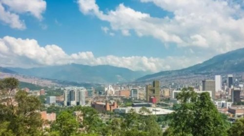 880 min ağac əkildi, şəhərdə temperatur bir neçə dərəcə aşağı düşdü