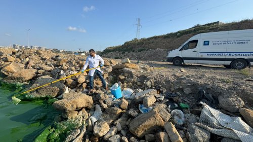 Böyükşor gölündə suyun yaşıl rəng almasının səbəbi müəyyənləşdirilib