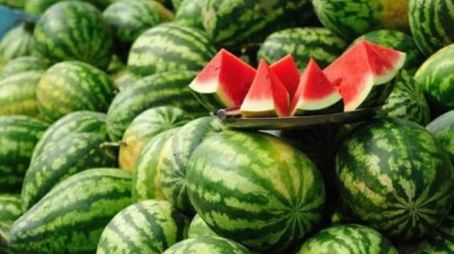 Azərbaycan Rusiyaya qarpız satışından qazancını artırıb