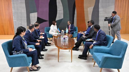 Sahibə Qafarova Somali Prezidenti ilə görüşüb